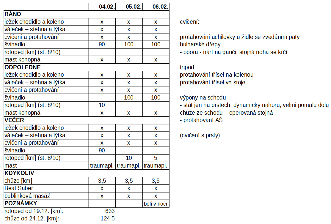 Rehabilitace k 7.2.2025